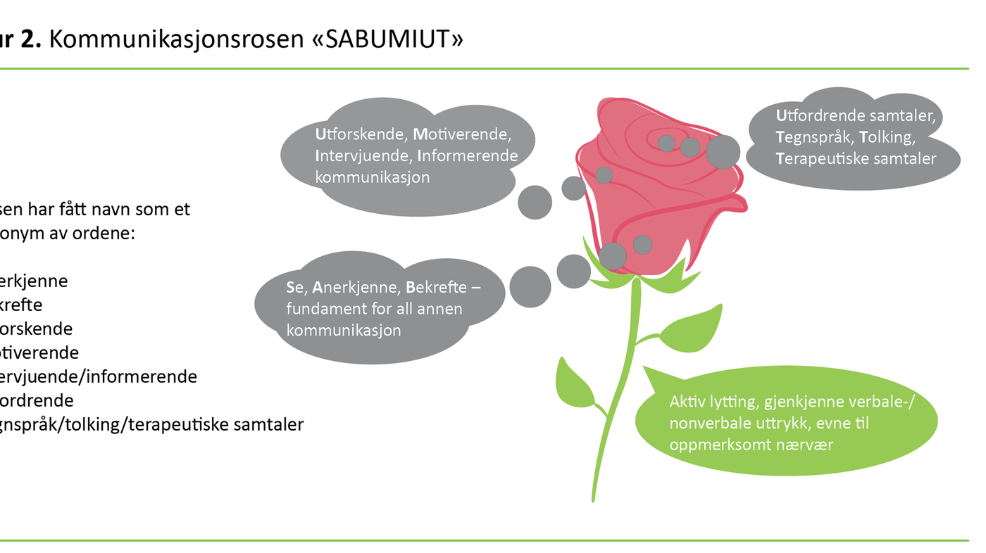 Figur 2. Kommunikasjonsrosen "SABUMIUT