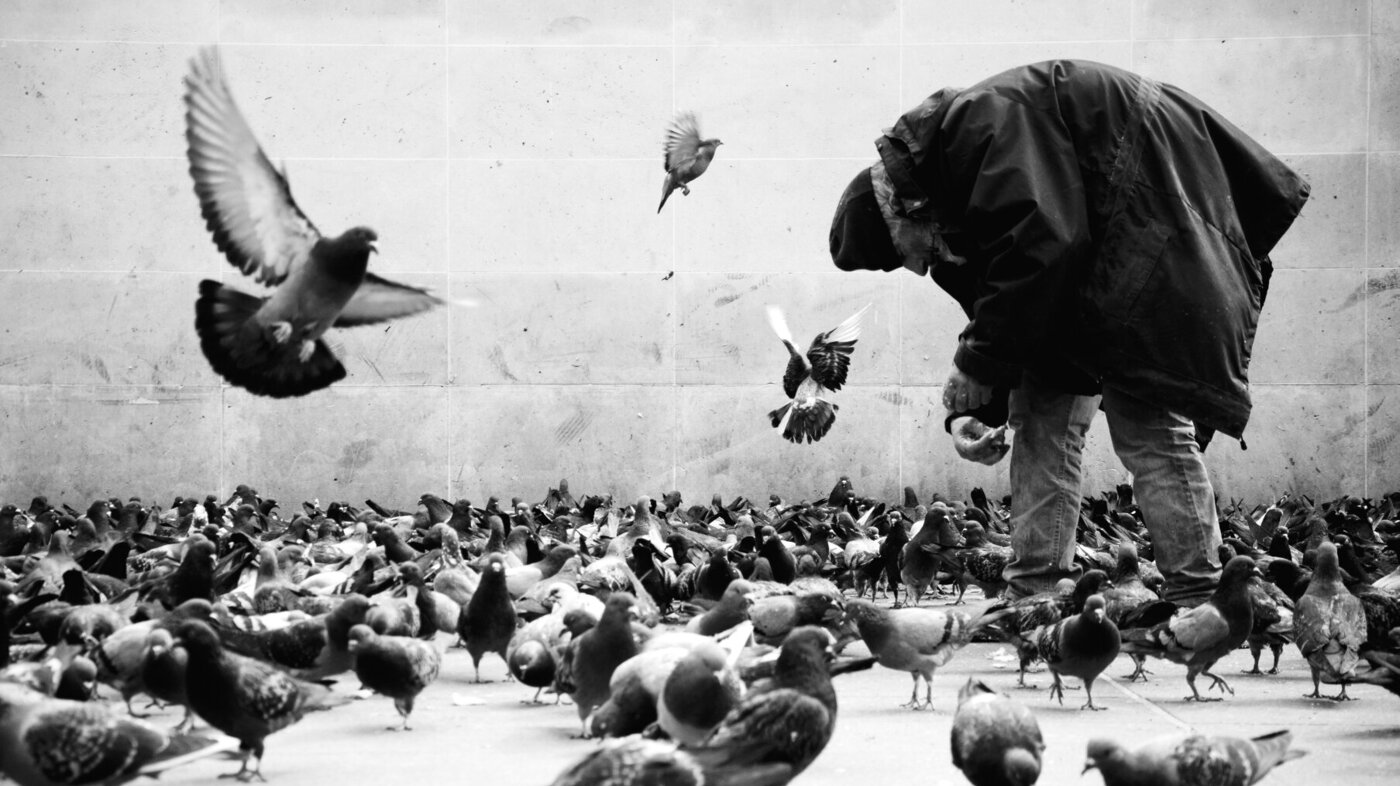 Bildet viser en mann som mater masse duer.