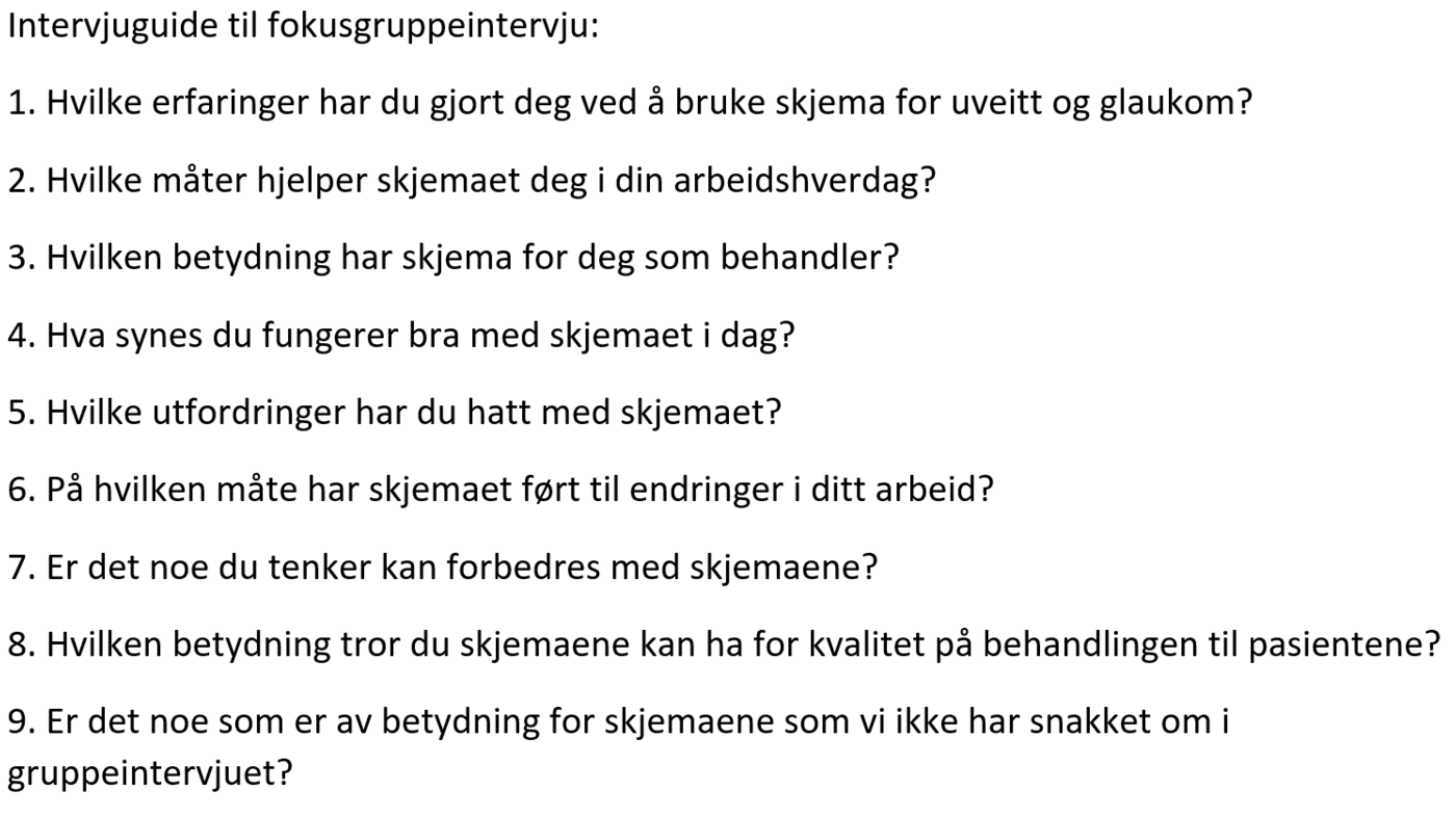 Intervjuguide Bildet er listen over spørsmål som ble diskutert i fokusgruppene