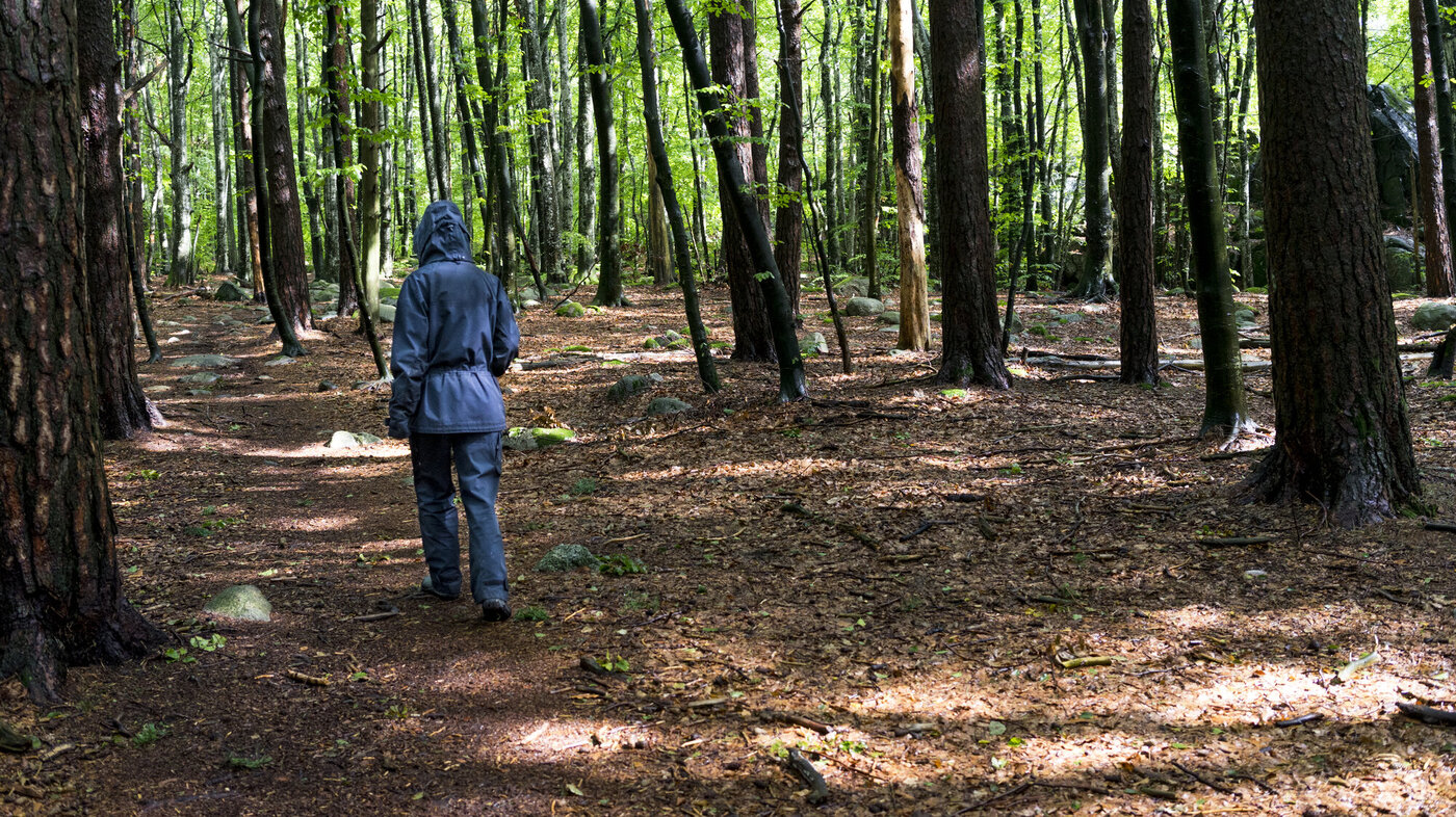 Bildet viser Anna gå i skogen