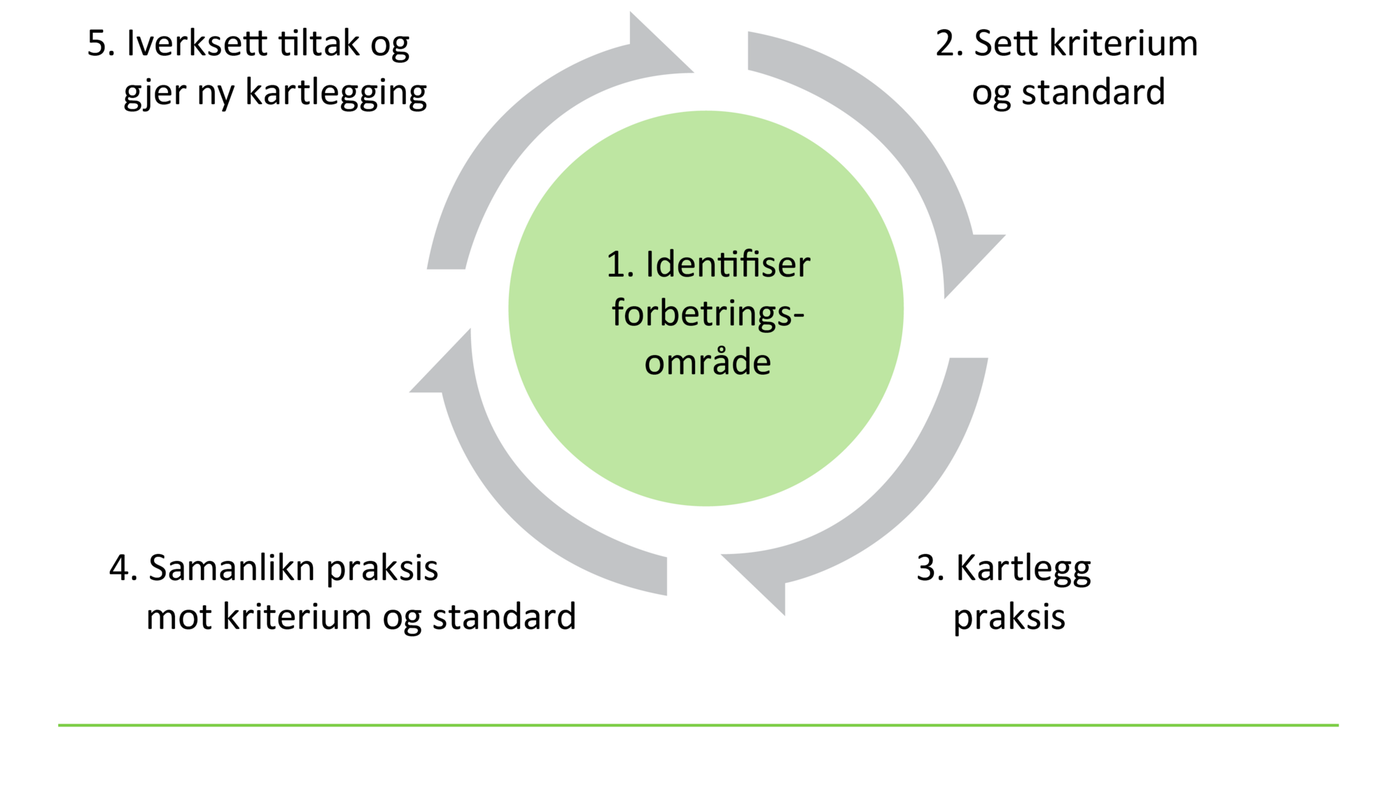 Figur 1 Klinisk audit-modellen Figur 1 Klinisk audit-modellen