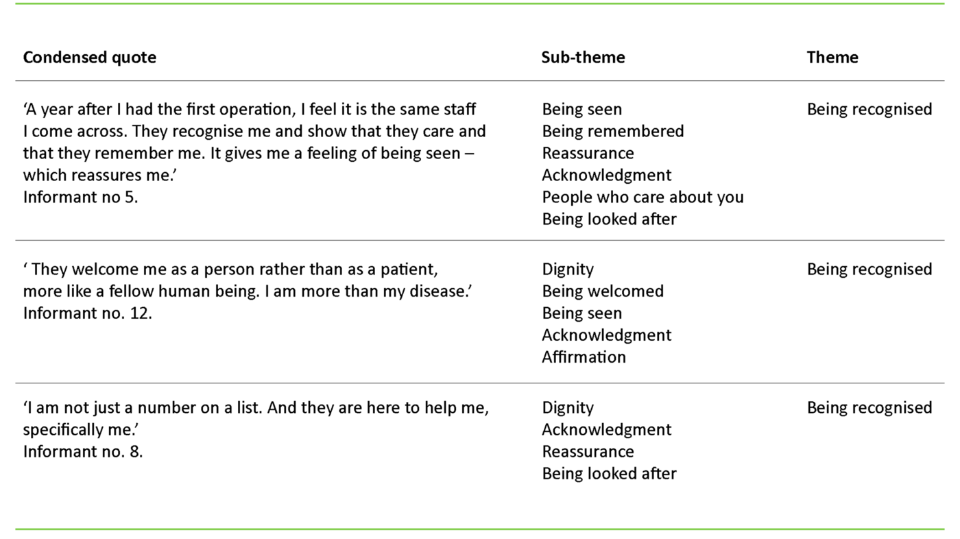 Table 1. Sample analysis of the ‘being recognised’ theme