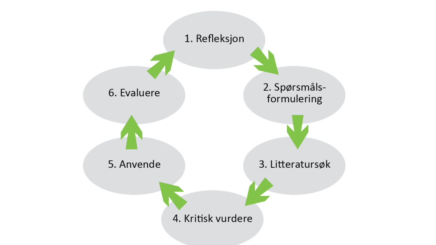 Bildet viser trinnene i kunnskapsbasert praksis