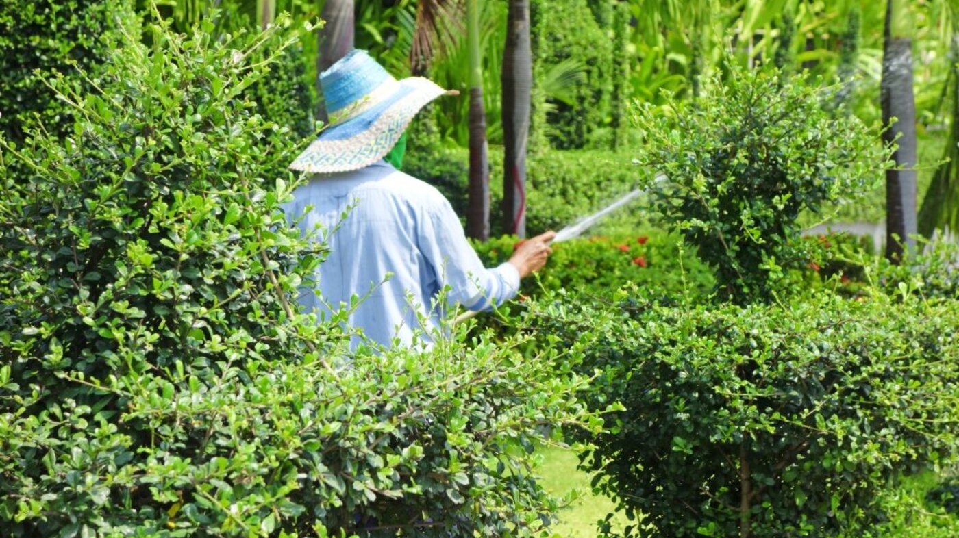 Bildet viser en eldre kvinne som vanner i hagen.
