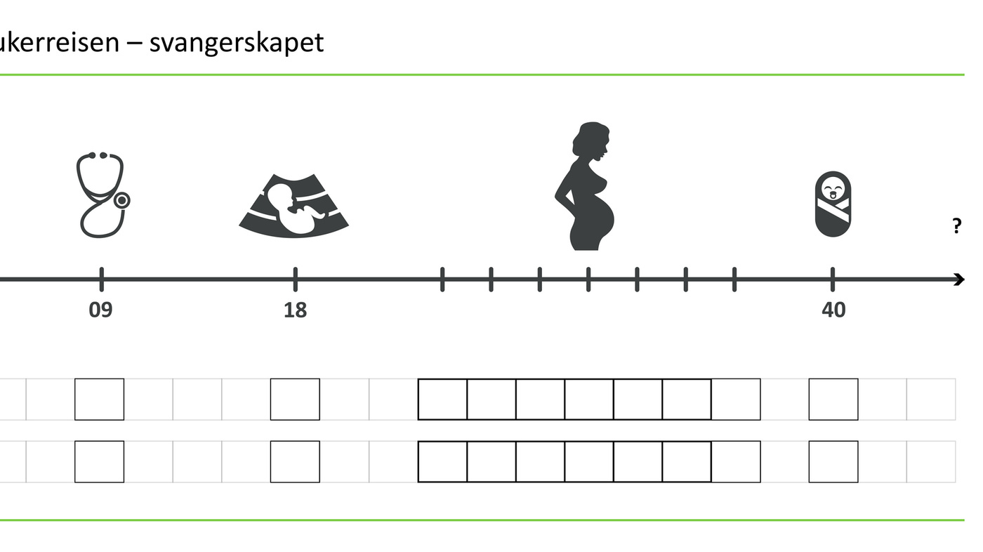 Figur 2 Brukerreisen – svangerskapet