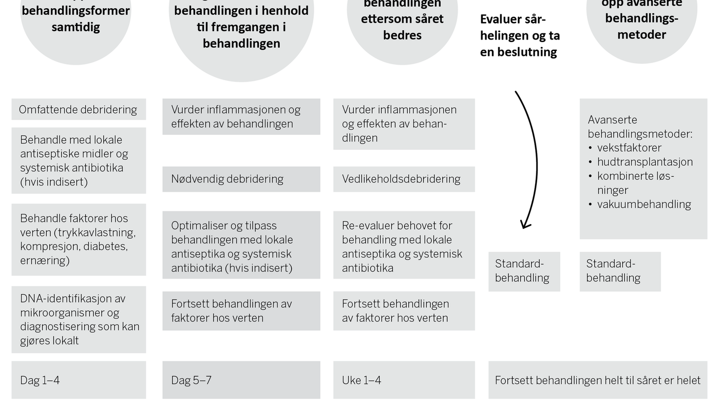 Figur 1. Retningslinje for identifikasjon av biofilm i kronisk, ikke-helende sår