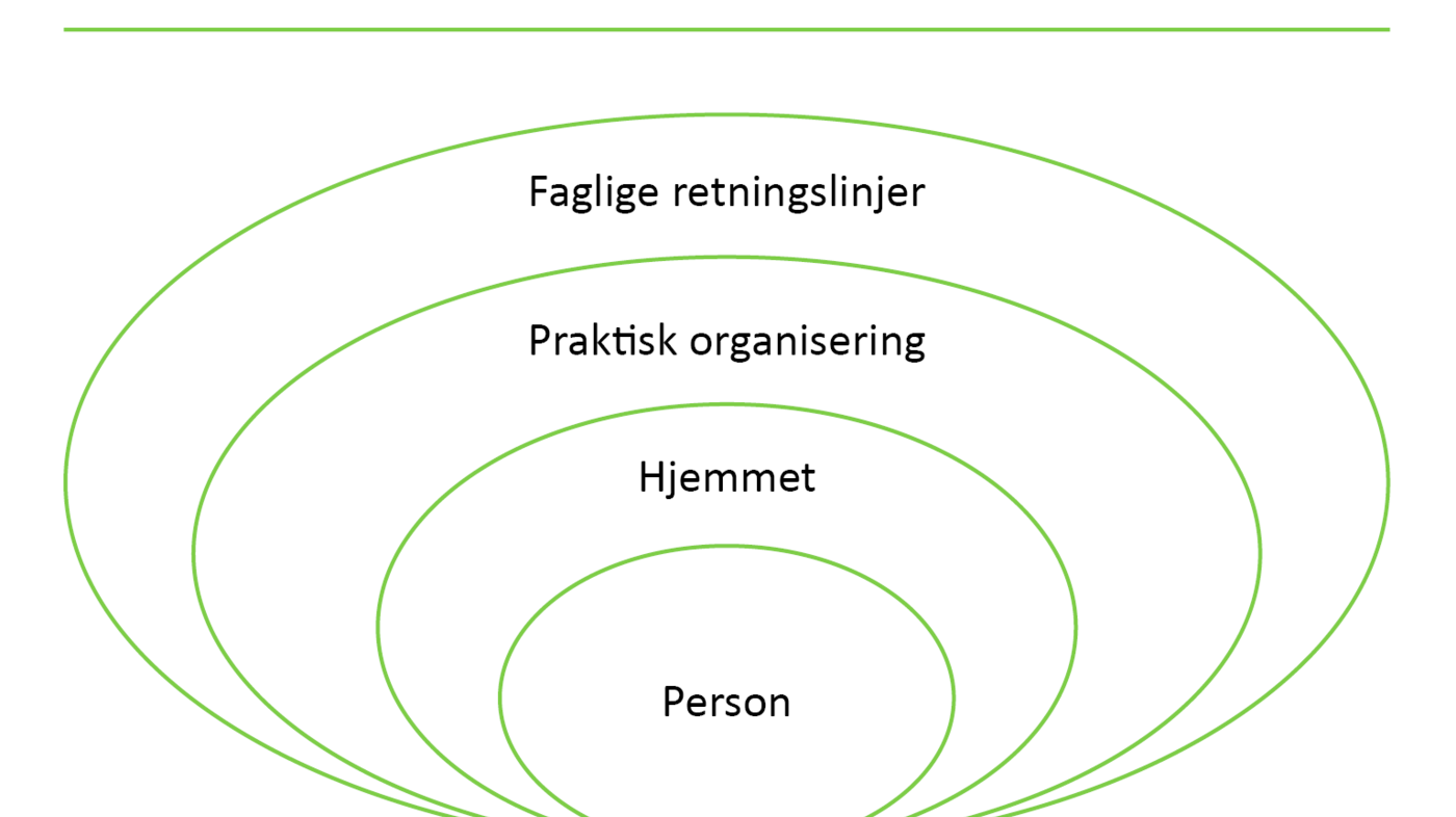 Figur 1 Figur 1. Fire nivåer i hjemmesykepleiernes ernæringsarbeid