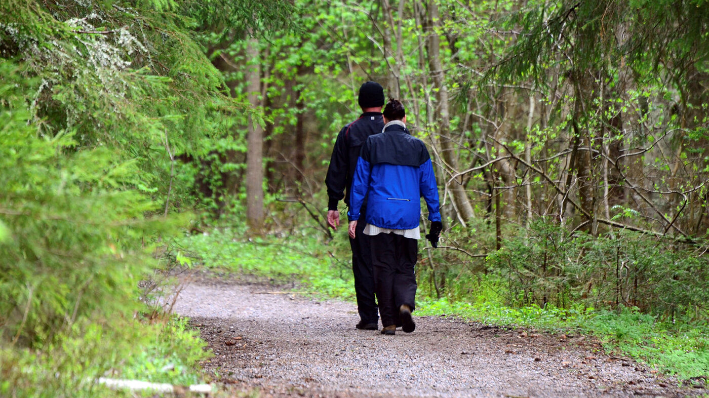 Bildet viser to personer sett bakfra som går tur i skogen.