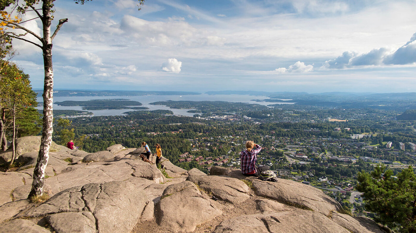 Utsikt fra Kolsås-toppen.