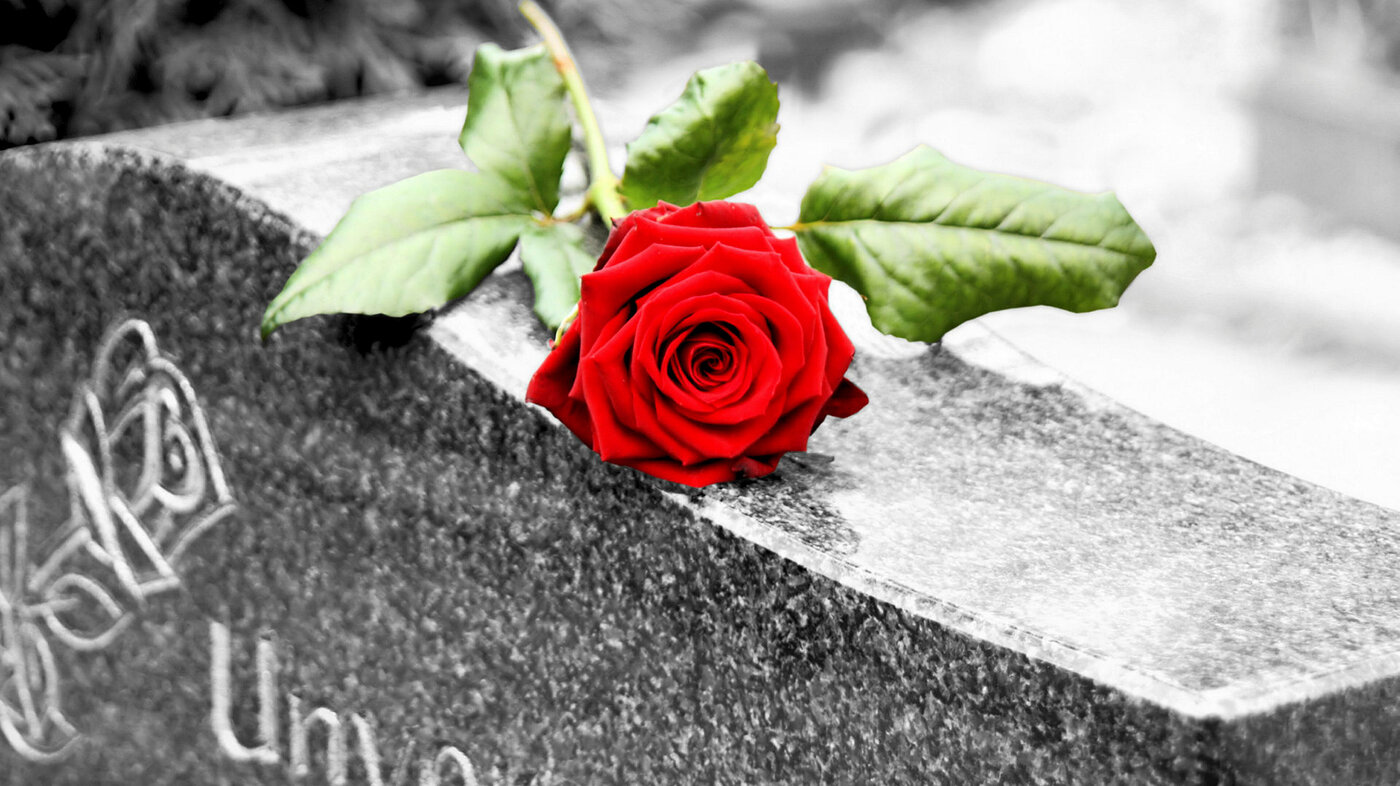 Rose på gravstein