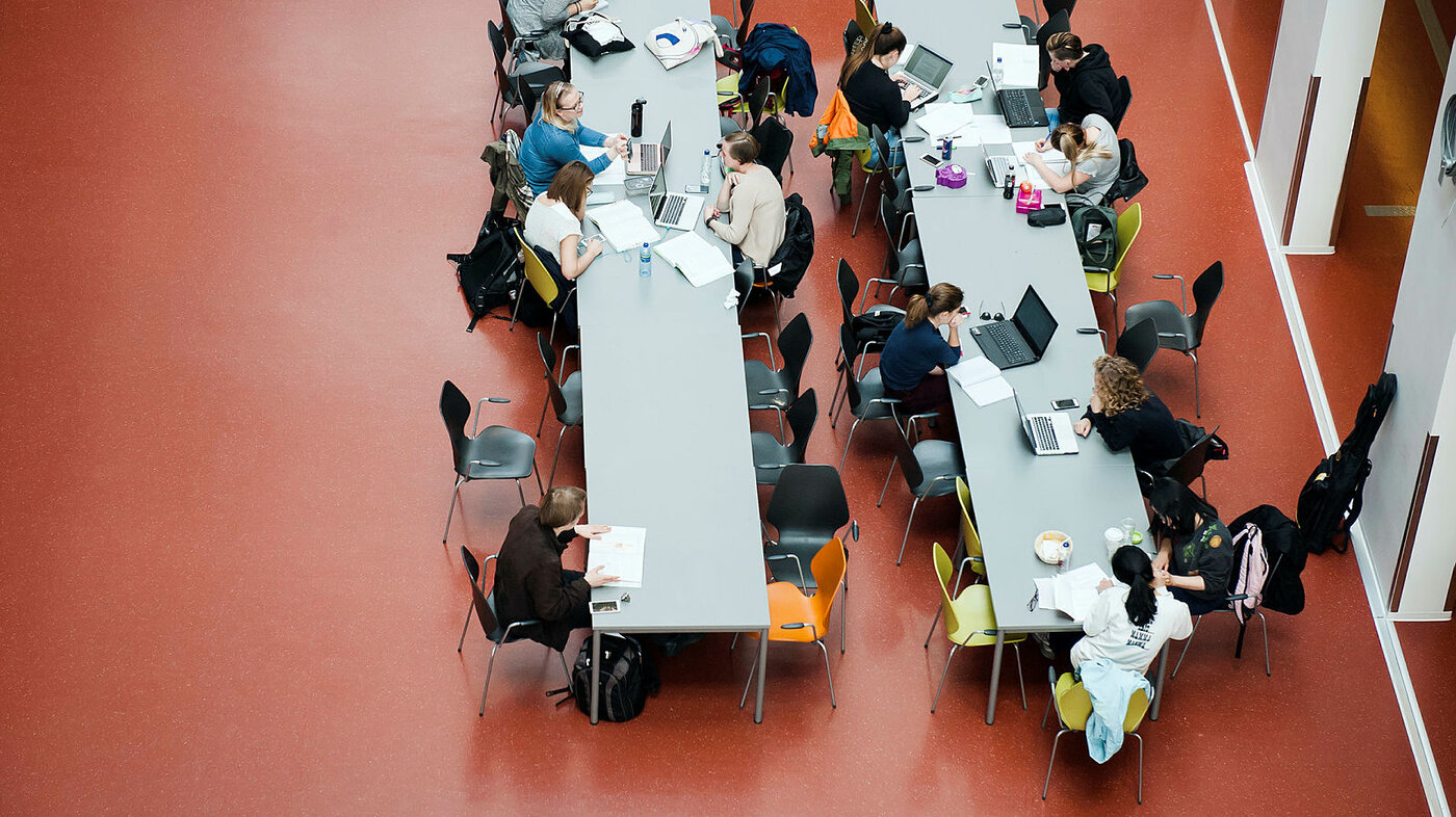 Bildene viser studenter fra Høgskolen i Oslo