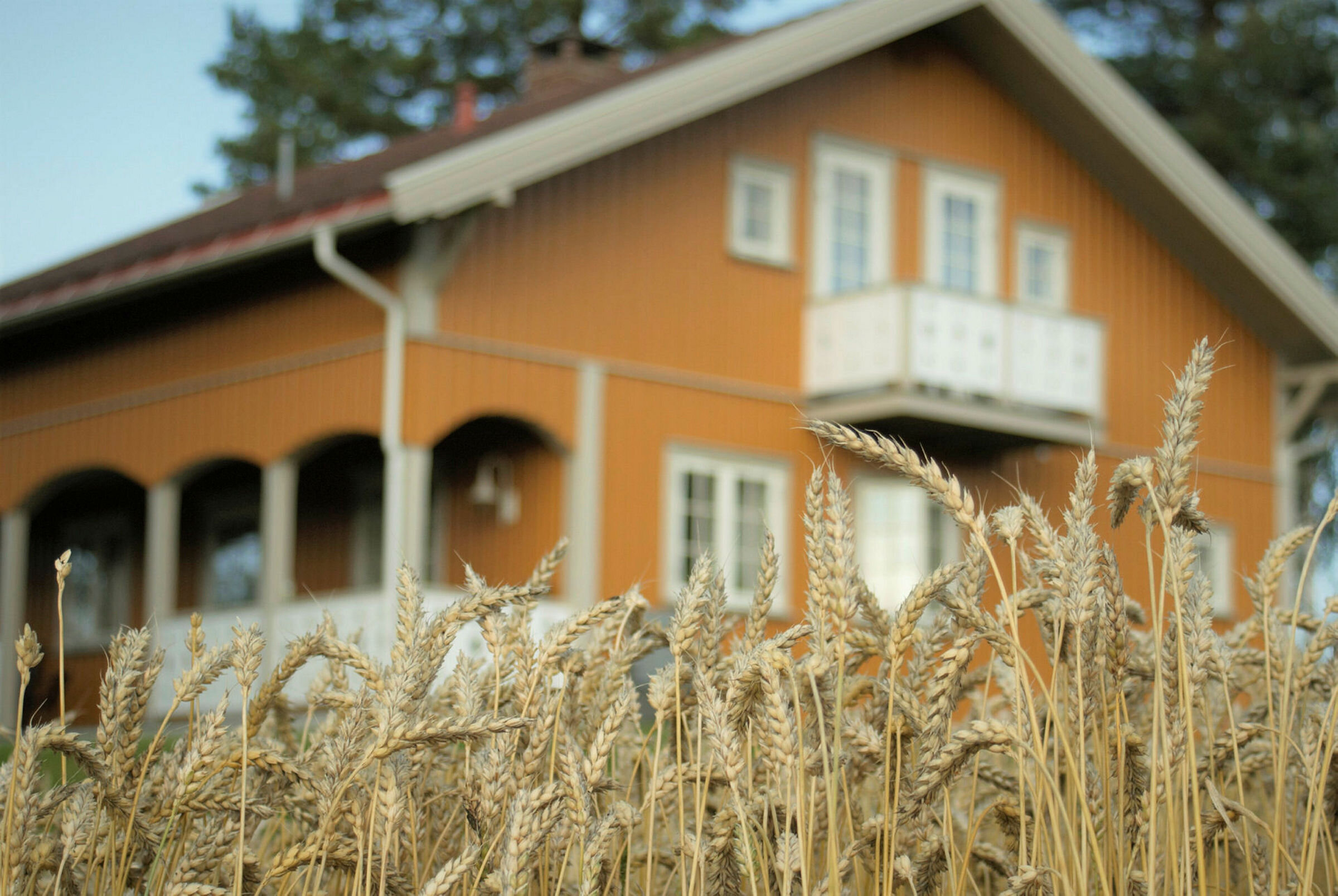 Villa Casetta Fra ressurssenteret Villa Sana på Modum Bad