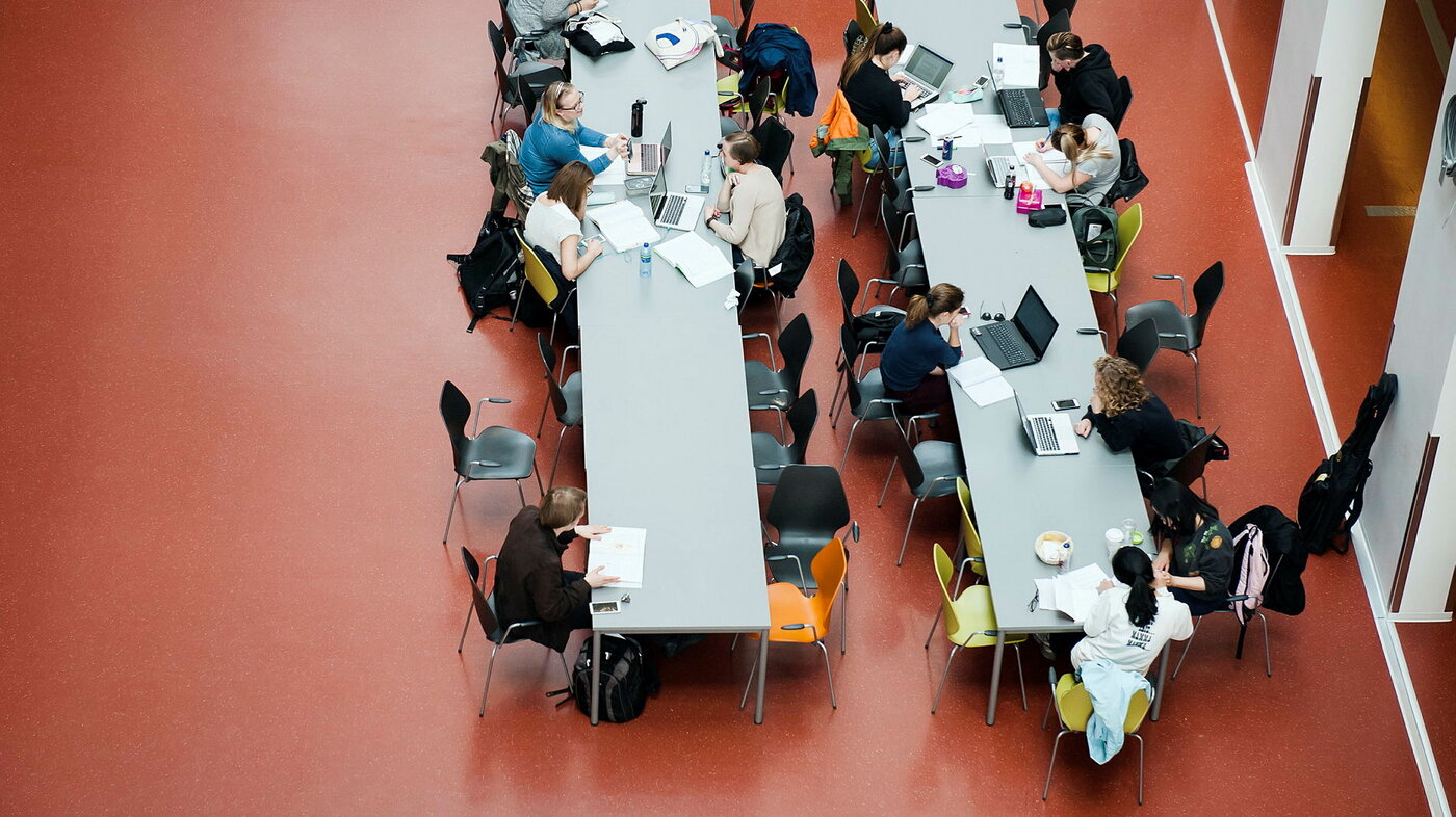 Bildene viser studenter fra Høgskolen i Oslo