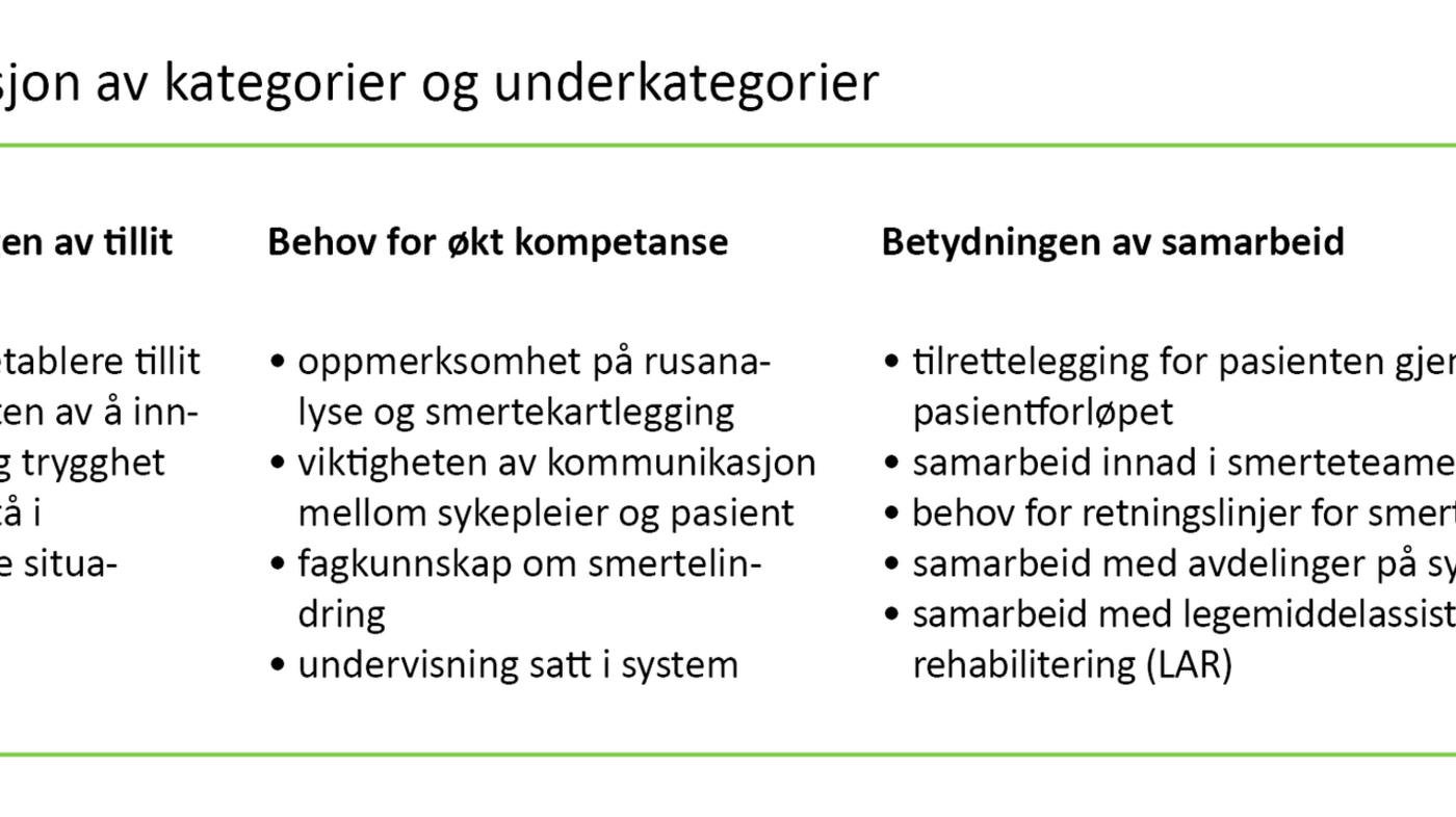 Tabell 1. Presentasjon av kategorier og underkategorier 