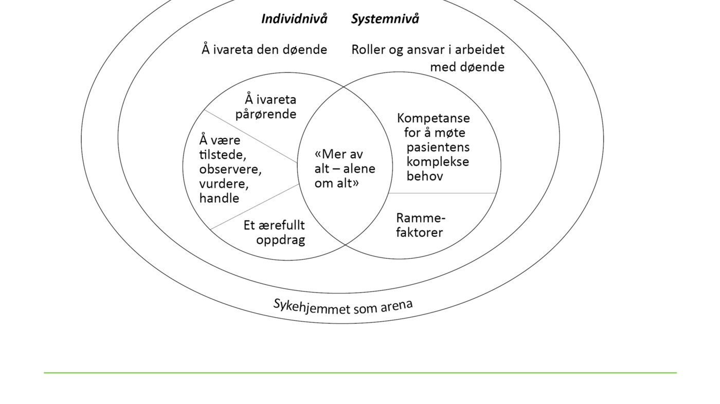 Figur 1. En syntese av studiens resultater