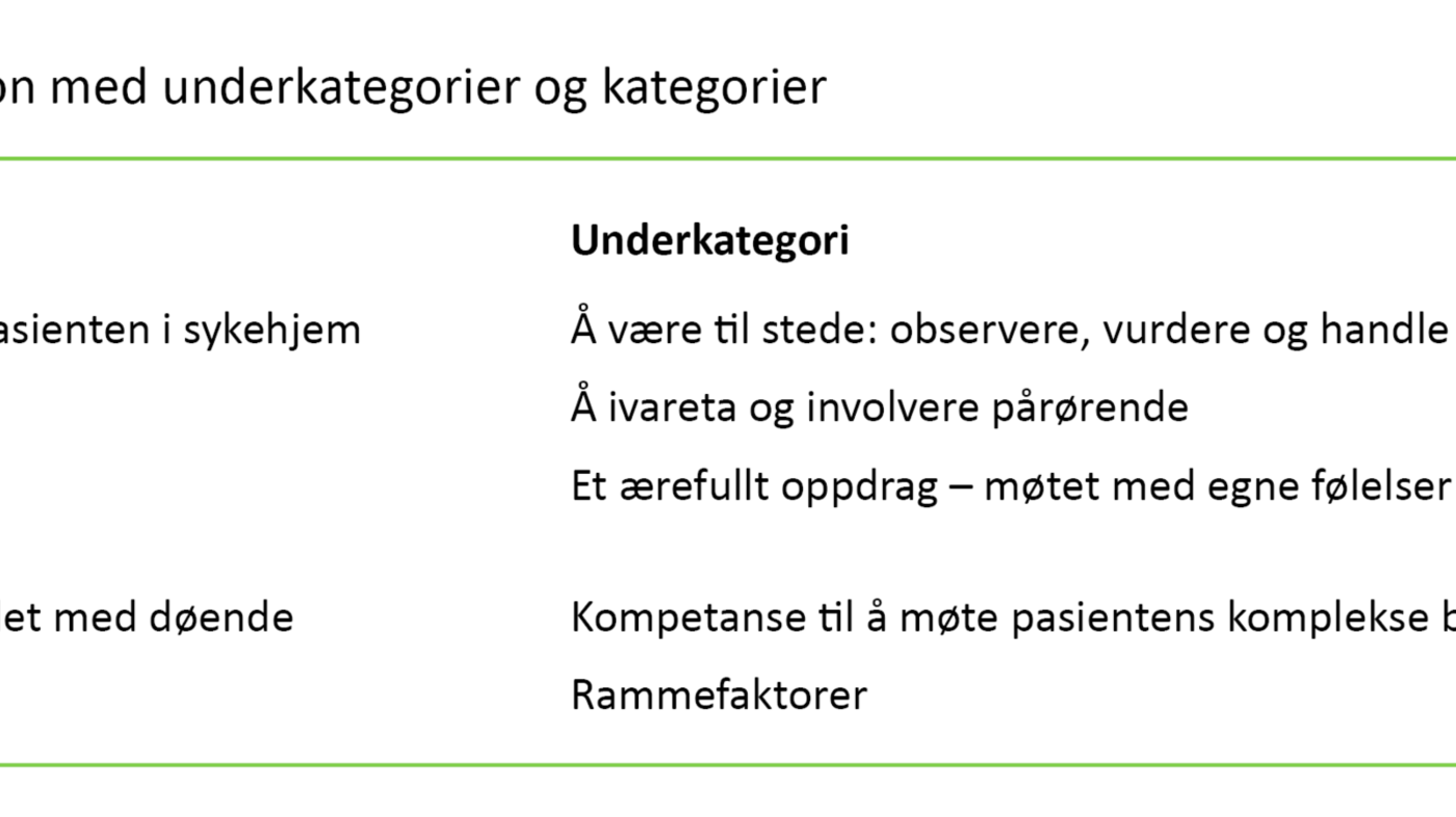 Tabell 3. Presentasjon med underkategorier og kategorier