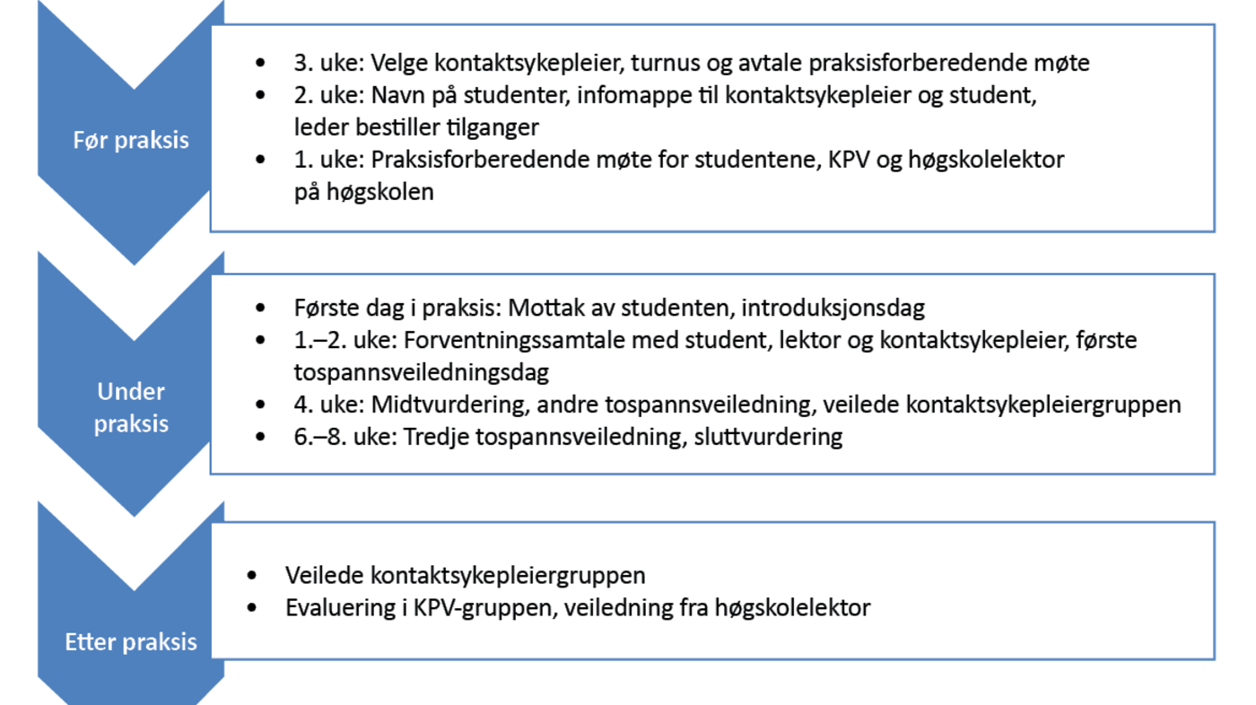 Figur 1 Forløp praksisperiode