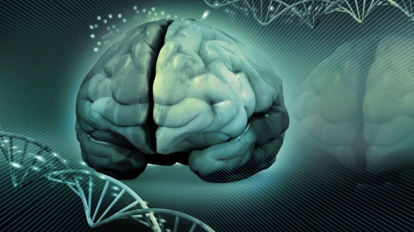 Bildet viser en illustrasjon av en hjerne og dna