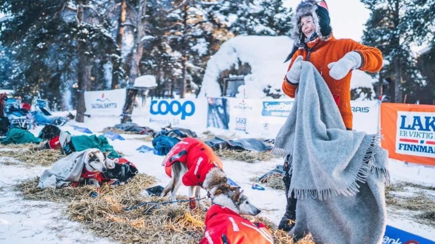 Birgitte og hundene har hvilepause