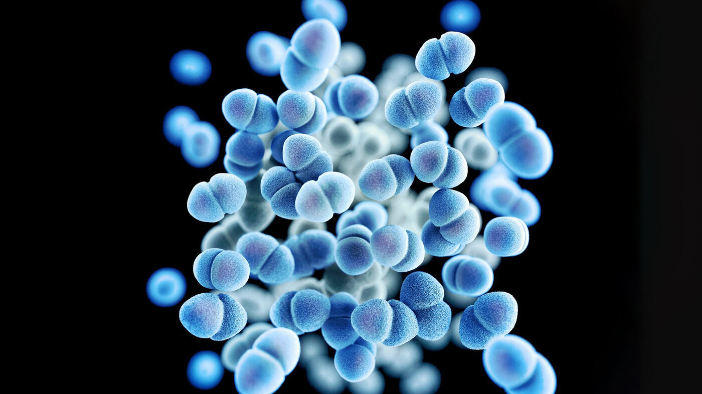Bildet viser VRE-bakterier.