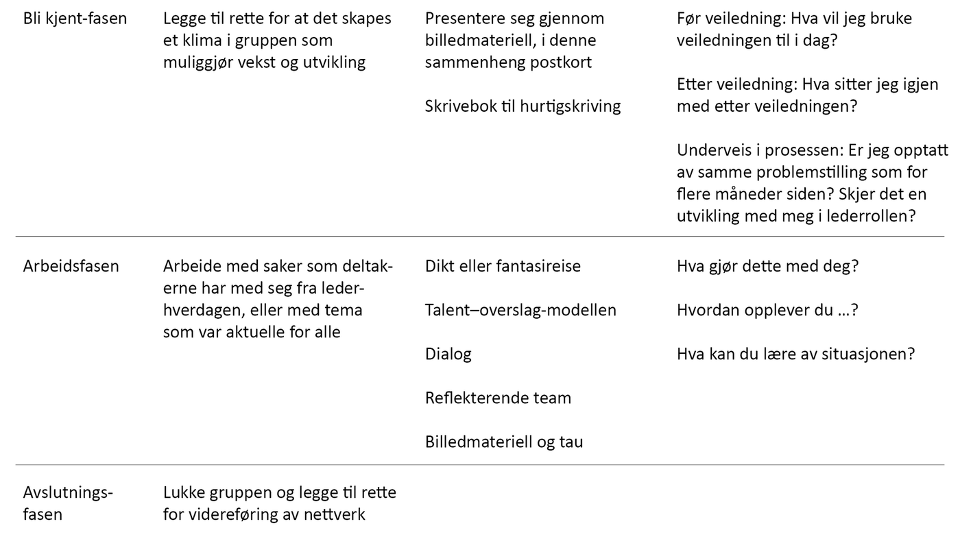 Figur 1 Faser, hensikt, metoder, og spørsmål til refleksjon i veiledningen