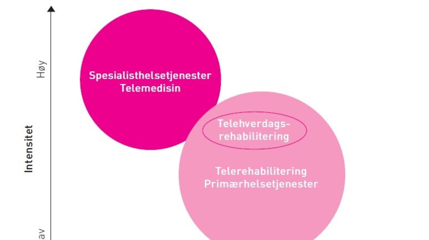 Figur 1 viser en idealtypisk modell av telerehabilitering sett opp mot tradisjonell telemedisin og telerehabilitering