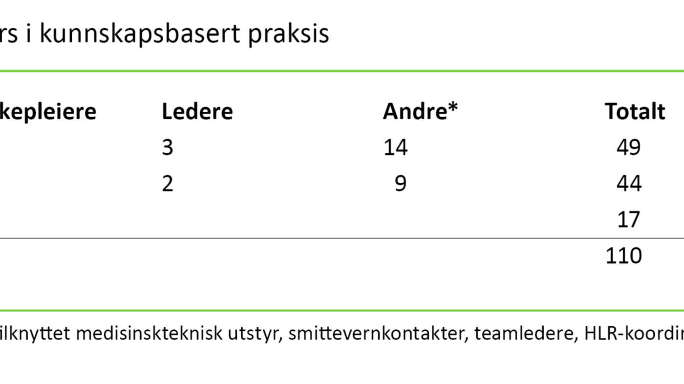 Tabell 1. Deltakernes kunnskapsgrunnlag i KBP