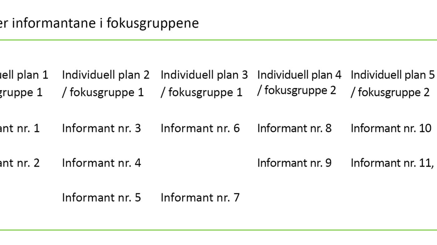 Tabell 2. Oversikt over informantane i fokusgruppene