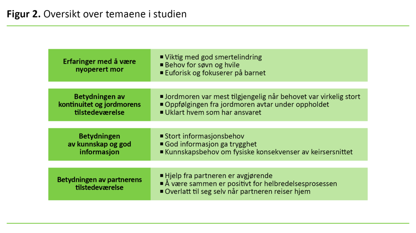 Figur 2. Oversikt over temaene i studien