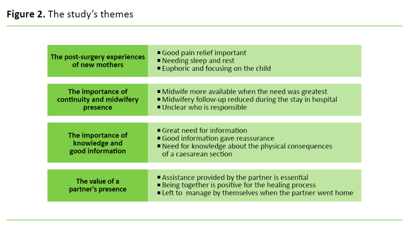 Figure 2. The study’s themes