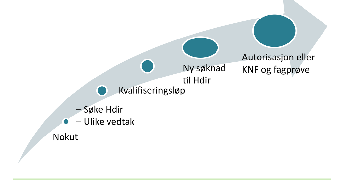 Figur 1 Veien mot autorisasjon Figur 1 Veien mot autorisasjon