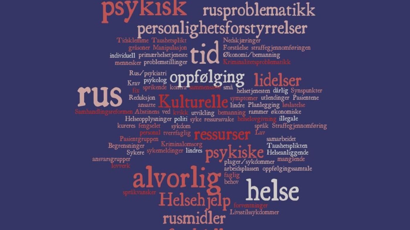 Ordsky laget av spørsmålet: Hva mener du er den største utfordringen i fengselshelsetjenesten?