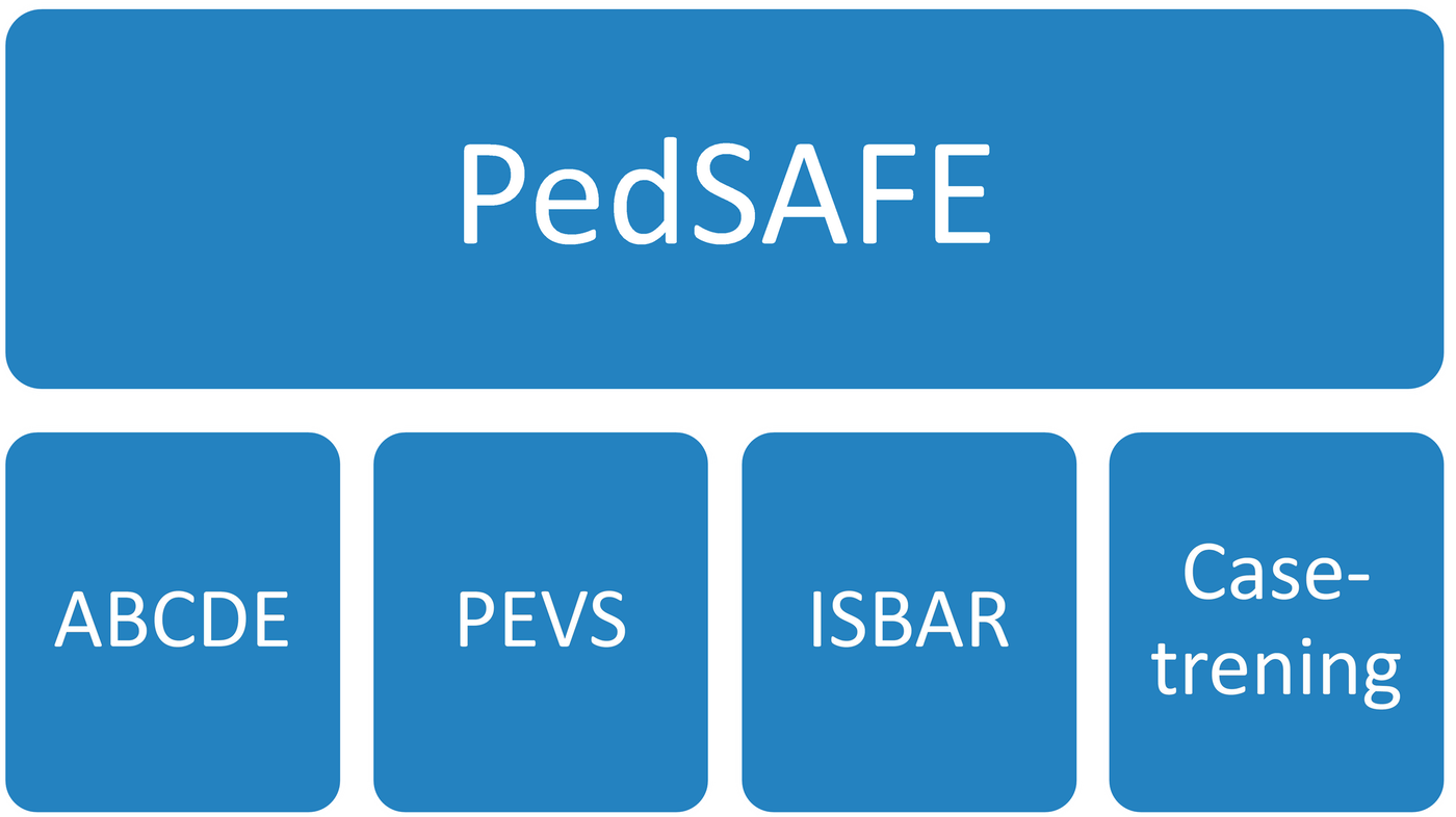 Figur 1: Sentrale elementer i PedSAFE