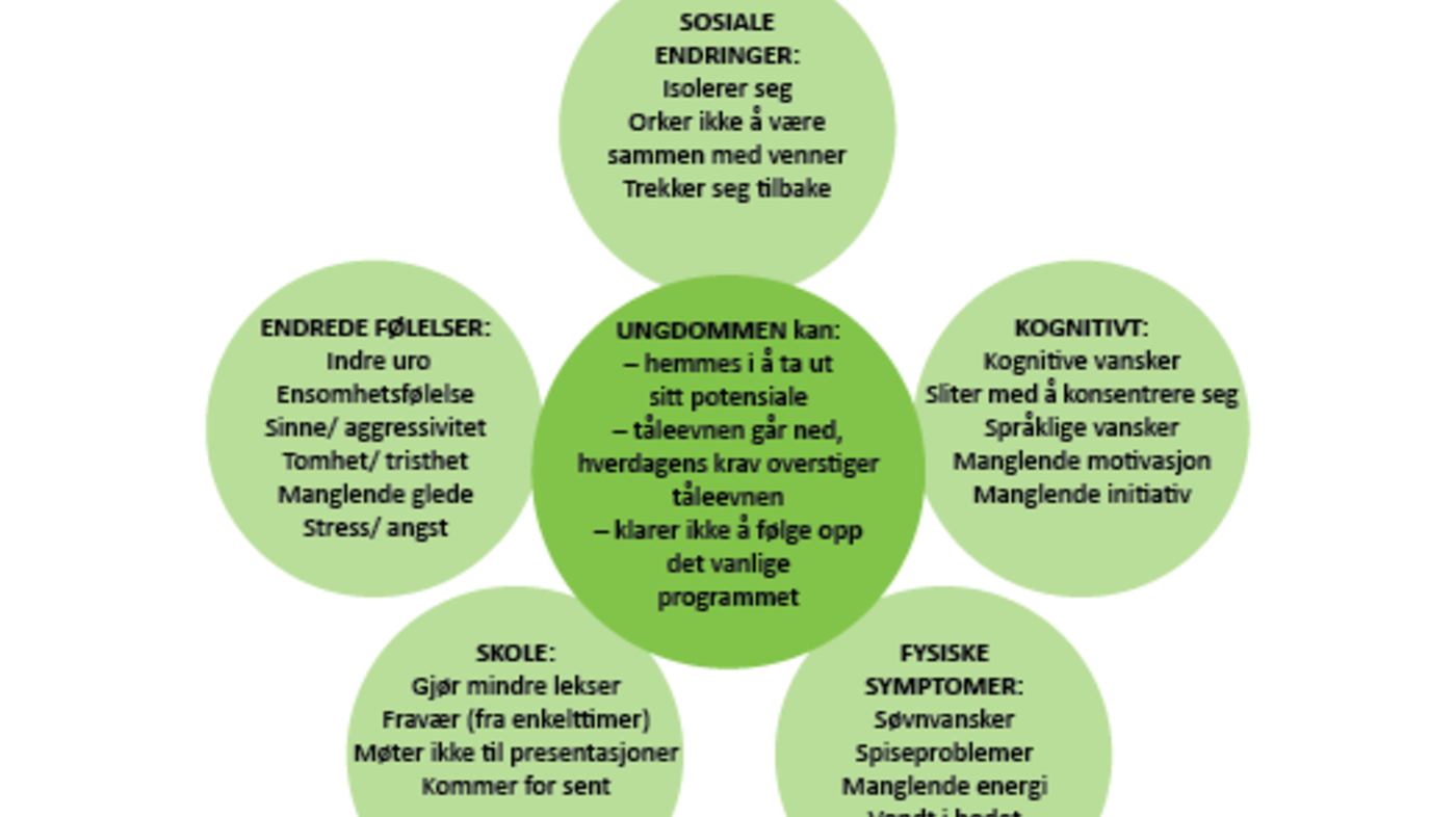 Figur 1: Konsekvenser av nedstemthet