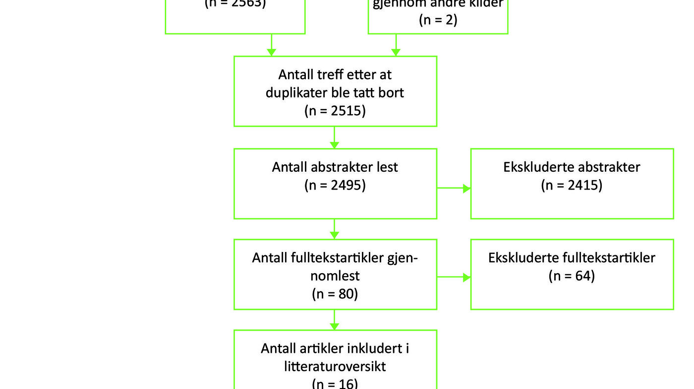 Figur 1: Flytdiagram over litteratursøk