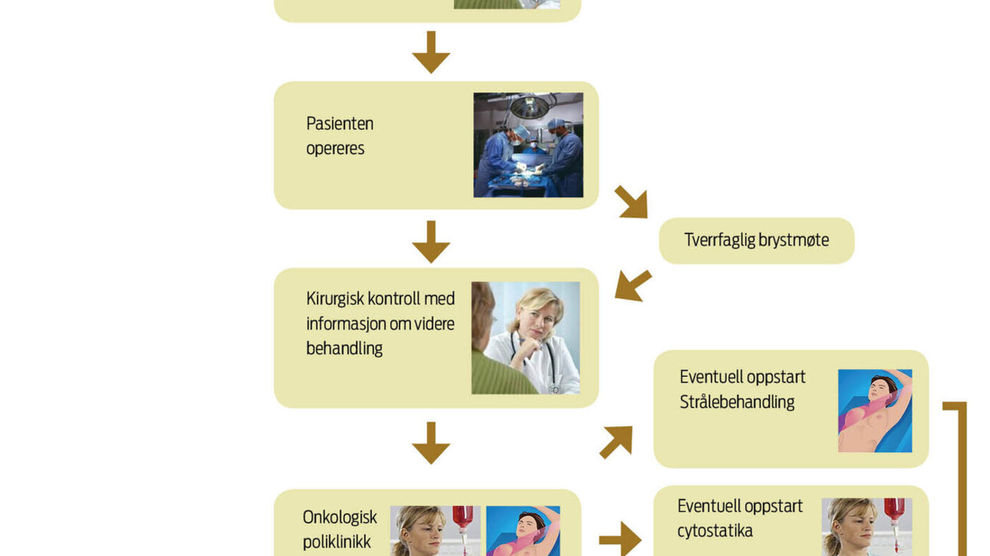 Figur 1: Pasientforløp