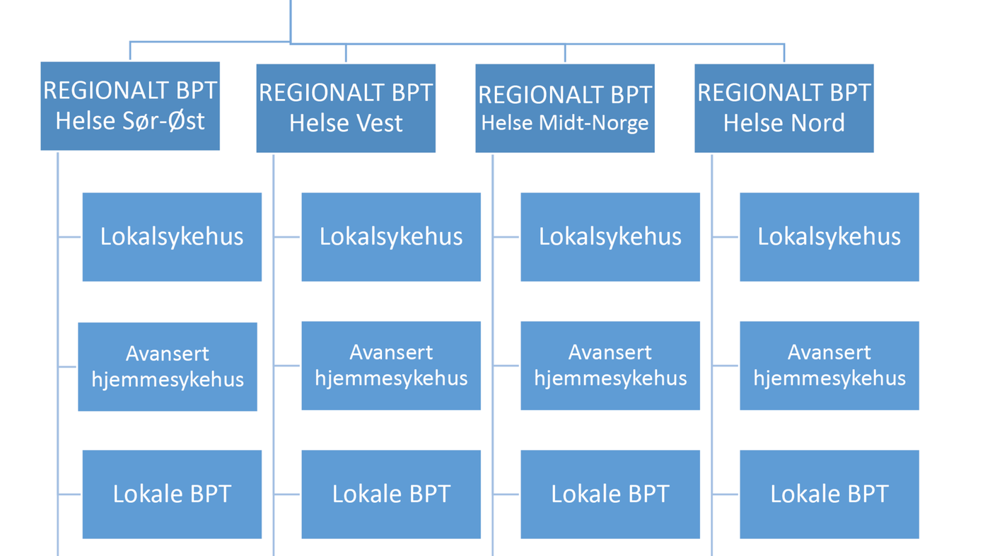 Figur 1 Organisasjonsmodell for et nasjonalt kompetansenettverk for barnepalliasjon