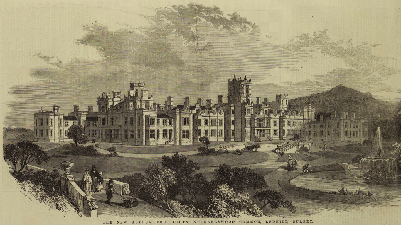 The New Asylum for Idiots