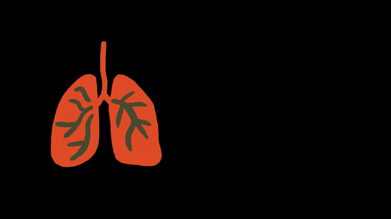 Illustrasjonen viser lunger.