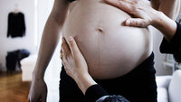 Bildet viser en gravid mage som blir undersøkt av to hender.