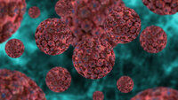 Bildet viser hpv-virus.