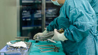 Bildet viser en sykepleier som dekker opp instrumentbordet før operasjon