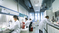 Bildet viser forskere i et av Bayers cellekulturlaboratorier i Berlin