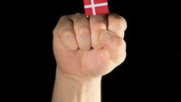 Bilde av dansk flagg