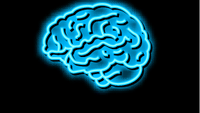 Illustrasjon av en menneskehjerne