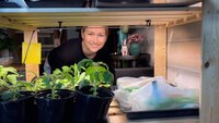Bildet viser Lillian-Johanne B. Risan med planter.