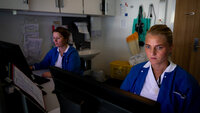 Bildet viser to sykepleiere som sitter foran hver sin datamaskin