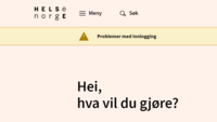 Bildet er et skjermbilde fra helsenorge.no