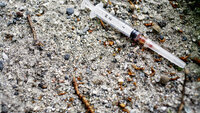Bildet viser sprøytespisser på bakken