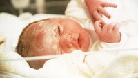 Bildet viser en nyfødt baby.